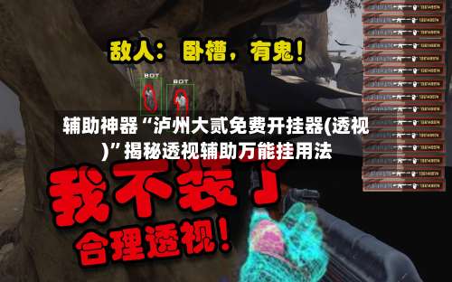 辅助神器“泸州大贰免费开挂器(透视)”揭秘透视辅助万能挂用法-第2张图片