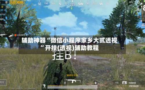 辅助神器“微信小程序家乡大贰透视”开挂(透视)辅助教程-第1张图片