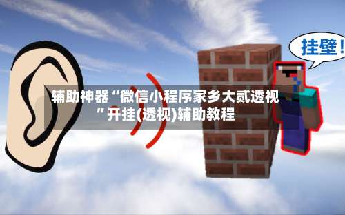 辅助神器“微信小程序家乡大贰透视	”开挂(透视)辅助教程-第3张图片