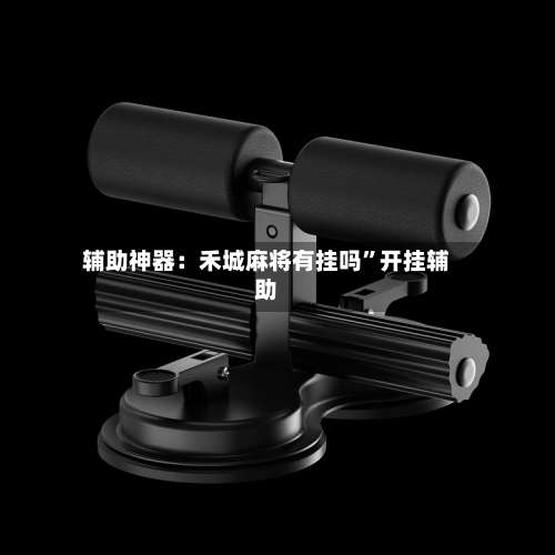 辅助神器：禾城麻将有挂吗”开挂辅助-第1张图片