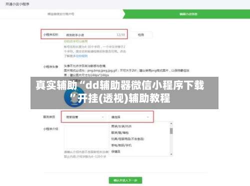 真实辅助“dd辅助器微信小程序下载”开挂(透视)辅助教程-第2张图片