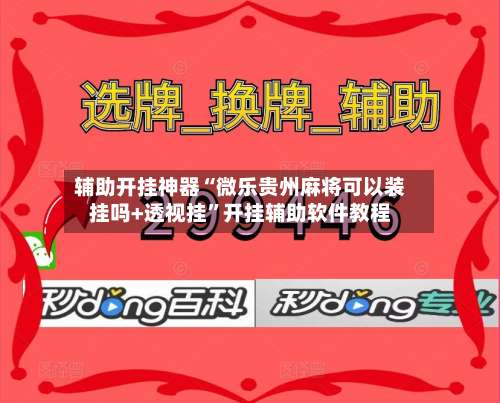 辅助开挂神器“微乐贵州麻将可以装挂吗+透视挂	”开挂辅助软件教程-第1张图片