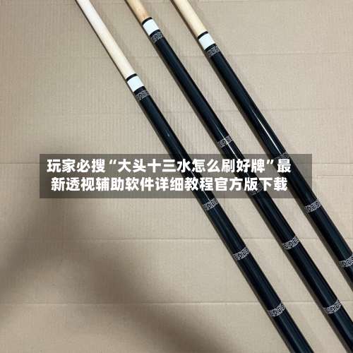 玩家必搜“大头十三水怎么刷好牌”最新透视辅助软件详细教程官方版下载-第2张图片