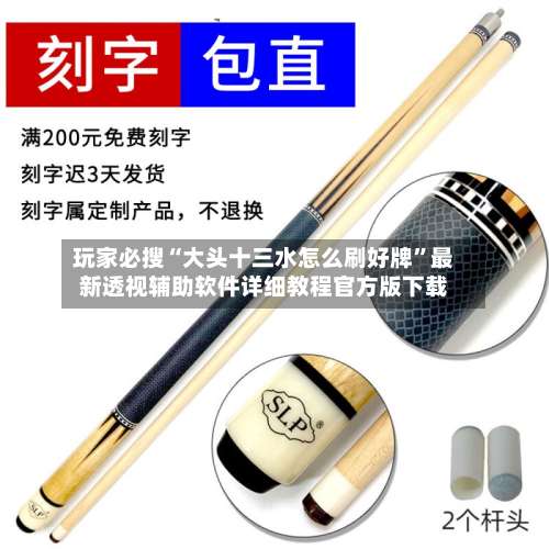 玩家必搜“大头十三水怎么刷好牌”最新透视辅助软件详细教程官方版下载-第1张图片