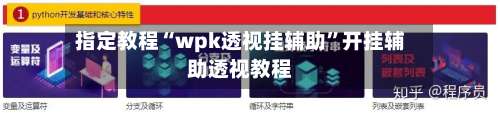 指定教程“wpk透视挂辅助	”开挂辅助透视教程-第2张图片