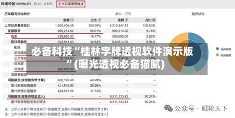 必备科技“桂林字牌透视软件演示版”(曝光透视必备猫腻)-第2张图片