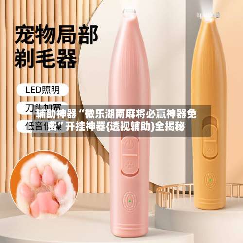 辅助神器“微乐湖南麻将必赢神器免费”开挂神器{透视辅助}全揭秘-第2张图片