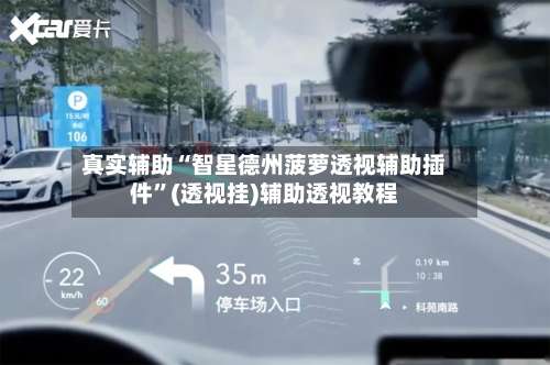 真实辅助“智星德州菠萝透视辅助插件	”(透视挂)辅助透视教程-第2张图片