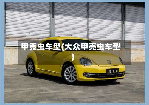 甲壳虫车型(大众甲壳虫车型)-第3张图片