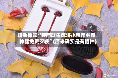 辅助神器“陕西微乐麻将小程序必赢神器免费安装”(原来确实是有插件)-第3张图片