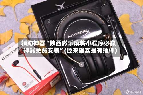 辅助神器“陕西微乐麻将小程序必赢神器免费安装	”(原来确实是有插件)-第1张图片