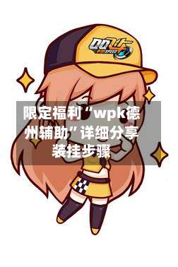 限定福利“wpk德州辅助	”详细分享装挂步骤-第2张图片