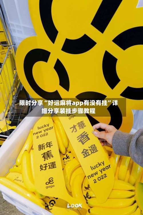 限时分享“好运麻将app有没有挂	”详细分享装挂步骤教程-第2张图片