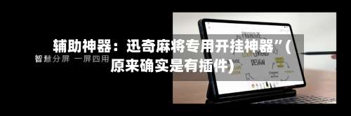 辅助神器：迅奇麻将专用开挂神器”(原来确实是有插件)-第3张图片