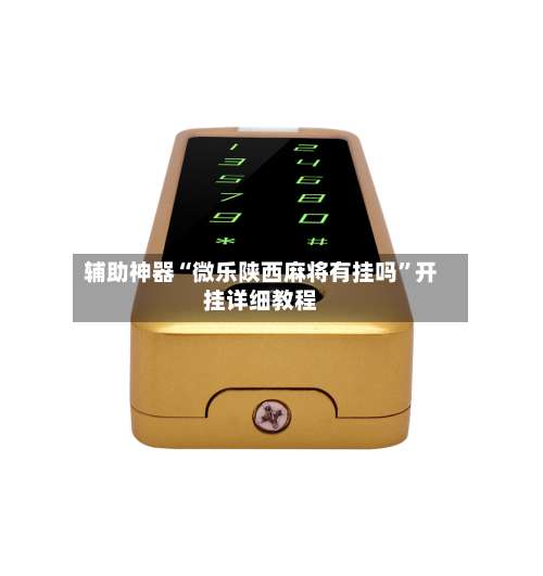 辅助神器“微乐陕西麻将有挂吗”开挂详细教程-第2张图片