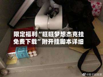 限定福利“旺旺梦想杰克挂免费下载	”附开挂脚本详细-第2张图片