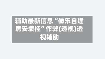 辅助最新信息“微乐自建房安装挂”作弊(透视)透视辅助-第3张图片