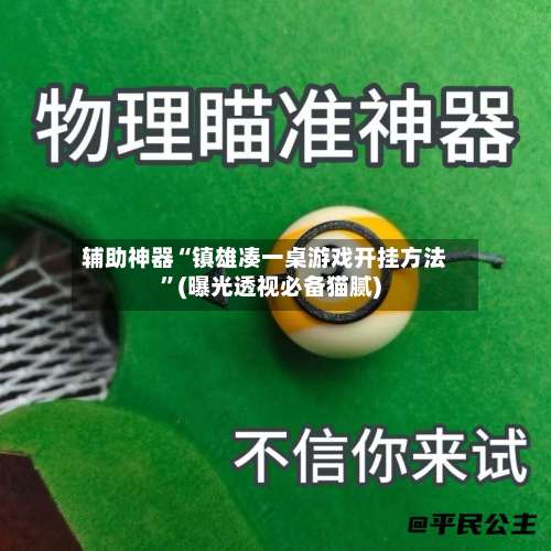辅助神器“镇雄凑一桌游戏开挂方法”(曝光透视必备猫腻)-第3张图片