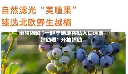 重磅揭秘“一起宁德麻将私人局透明辅助器”开挂辅助-第3张图片