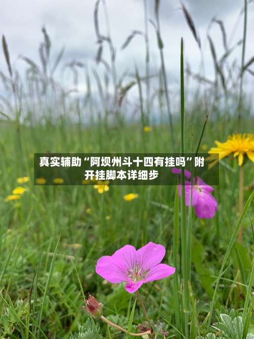 真实辅助“阿坝州斗十四有挂吗”附开挂脚本详细步-第1张图片