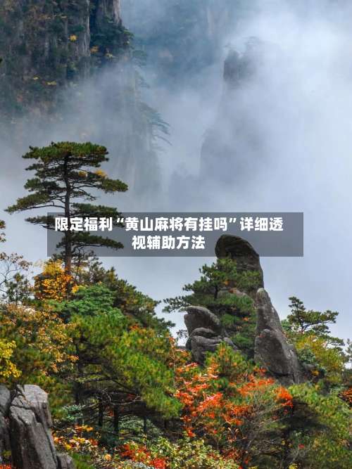 限定福利“黄山麻将有挂吗”详细透视辅助方法-第2张图片