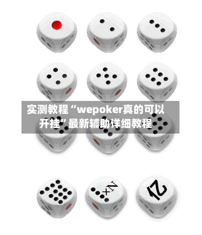 实测教程“wepoker真的可以开挂	”最新辅助详细教程-第2张图片