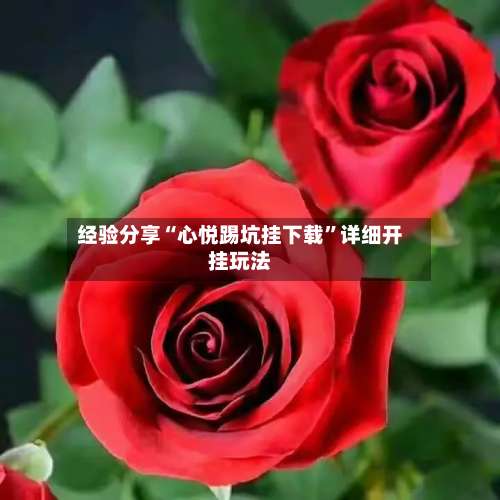 经验分享“心悦踢坑挂下载”详细开挂玩法-第3张图片