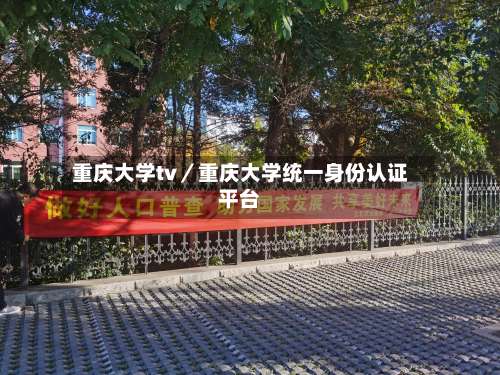 重庆大学tv/重庆大学统一身份认证平台-第1张图片