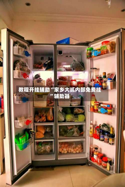 教程开挂辅助“家乡大贰内部免费挂	”辅助器-第2张图片