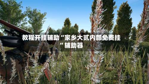 教程开挂辅助“家乡大贰内部免费挂”辅助器-第3张图片