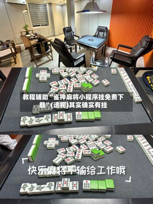 教程辅助“雀神麻将小程序挂免费下载”(透视)其实确实有挂-第3张图片