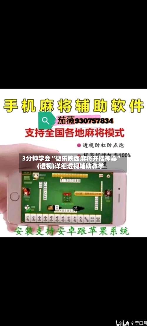 3分钟学会“微乐陕西麻将开挂神器”(透视)详细透视辅助教学-第2张图片