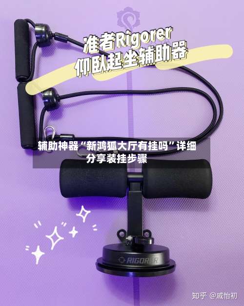 辅助神器“新鸿狐大厅有挂吗	”详细分享装挂步骤-第2张图片