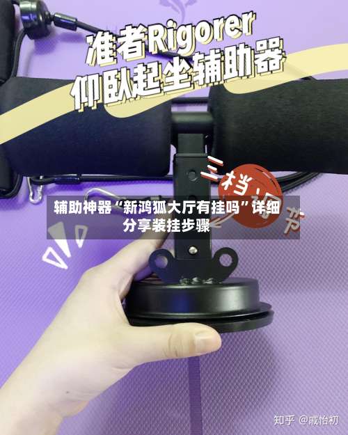 辅助神器“新鸿狐大厅有挂吗”详细分享装挂步骤-第3张图片