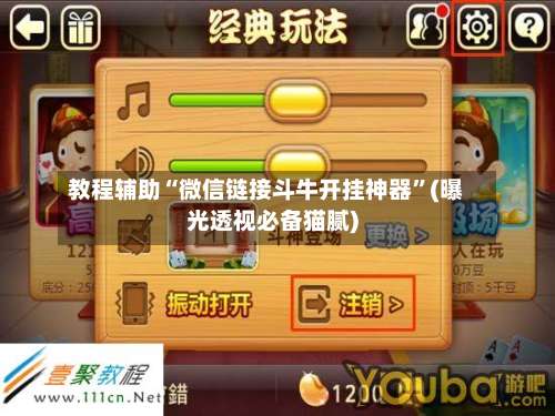 教程辅助“微信链接斗牛开挂神器”(曝光透视必备猫腻)-第3张图片