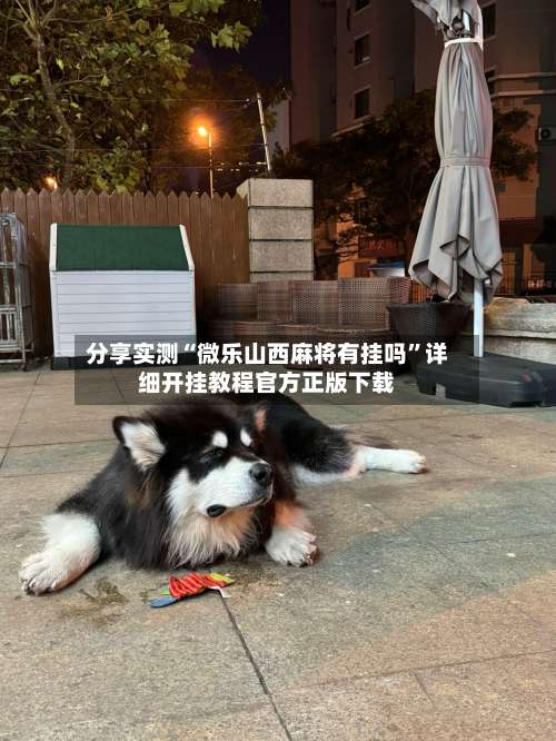 分享实测“微乐山西麻将有挂吗	”详细开挂教程官方正版下载-第1张图片