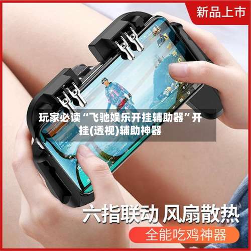 玩家必读“飞驰娱乐开挂辅助器”开挂(透视)辅助神器-第1张图片