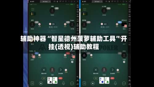 辅助神器“智星德州菠萝辅助工具”开挂(透视)辅助教程-第1张图片