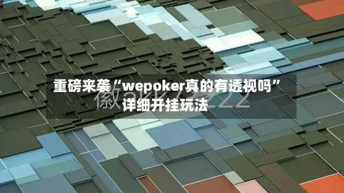 重磅来袭“wepoker真的有透视吗	”详细开挂玩法-第2张图片