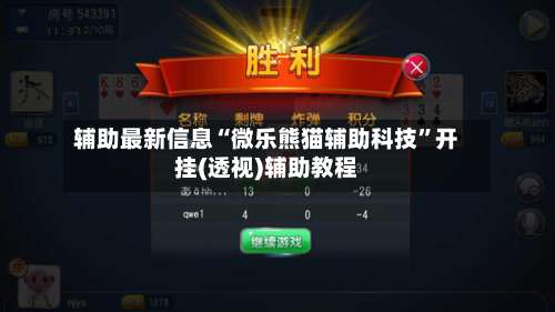 辅助最新信息“微乐熊猫辅助科技”开挂(透视)辅助教程-第3张图片