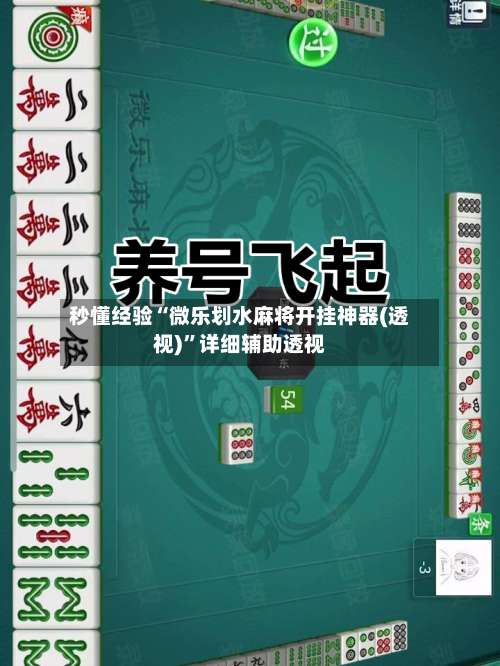 秒懂经验“微乐划水麻将开挂神器(透视)”详细辅助透视-第1张图片