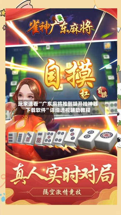 玩家速看“广东麻将推倒胡开挂神器下载软件	”详细透视辅助教程-第3张图片