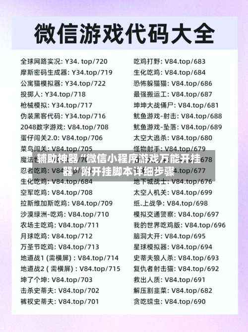 辅助神器“微信小程序游戏万能开挂器”附开挂脚本详细步骤-第3张图片