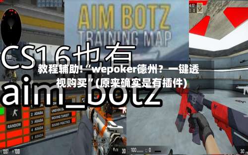 教程辅助!“wepoker德州？一键透视购买	”(原来确实是有插件)-第1张图片