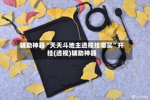 辅助神器“天天斗地主透视挂哪买	”开挂(透视)辅助神器-第3张图片