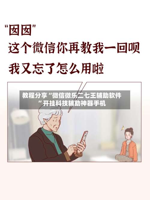 教程分享“微信微乐二七王辅助软件	”开挂科技辅助神器手机-第2张图片