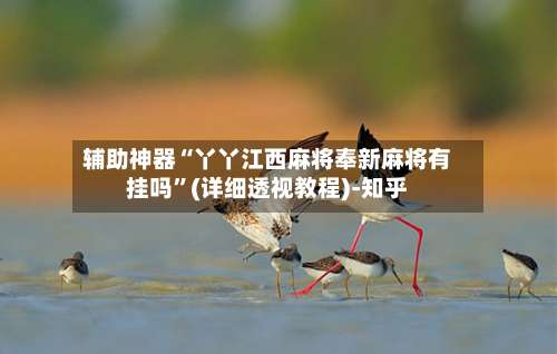 辅助神器“丫丫江西麻将奉新麻将有挂吗”(详细透视教程)-知乎-第1张图片