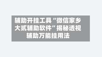 辅助开挂工具“微信家乡大贰辅助软件	”揭秘透视辅助万能挂用法-第1张图片