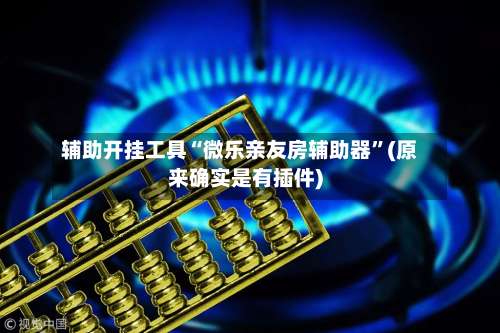 辅助开挂工具“微乐亲友房辅助器”(原来确实是有插件)-第3张图片