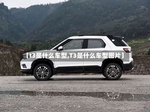 【t3是什么车型,T3是什么车型图片】-第1张图片